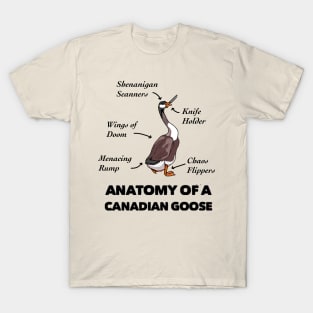 Anatomy of a Canadian Goose T-Shirt